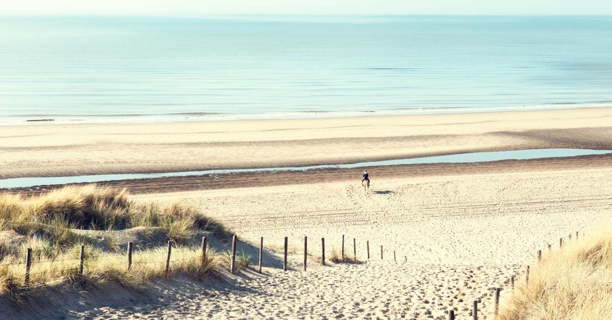 top 5 des plages gays en hollande