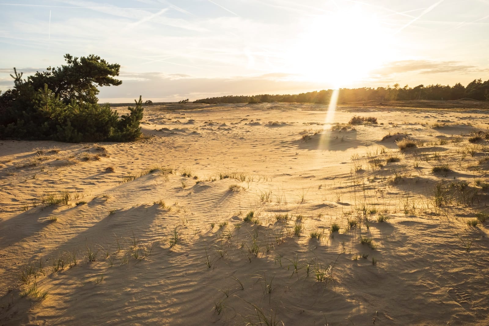 Dunes de sable au coucher du soleil en Pologne.