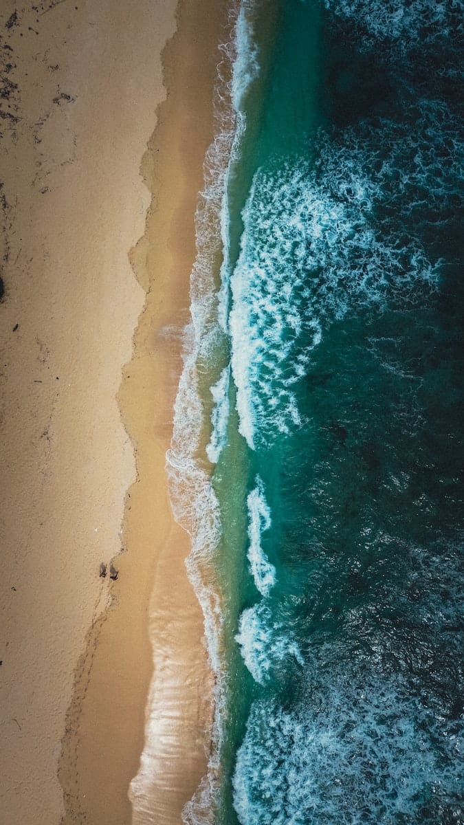 Free stock photo of beach, daylight, foam