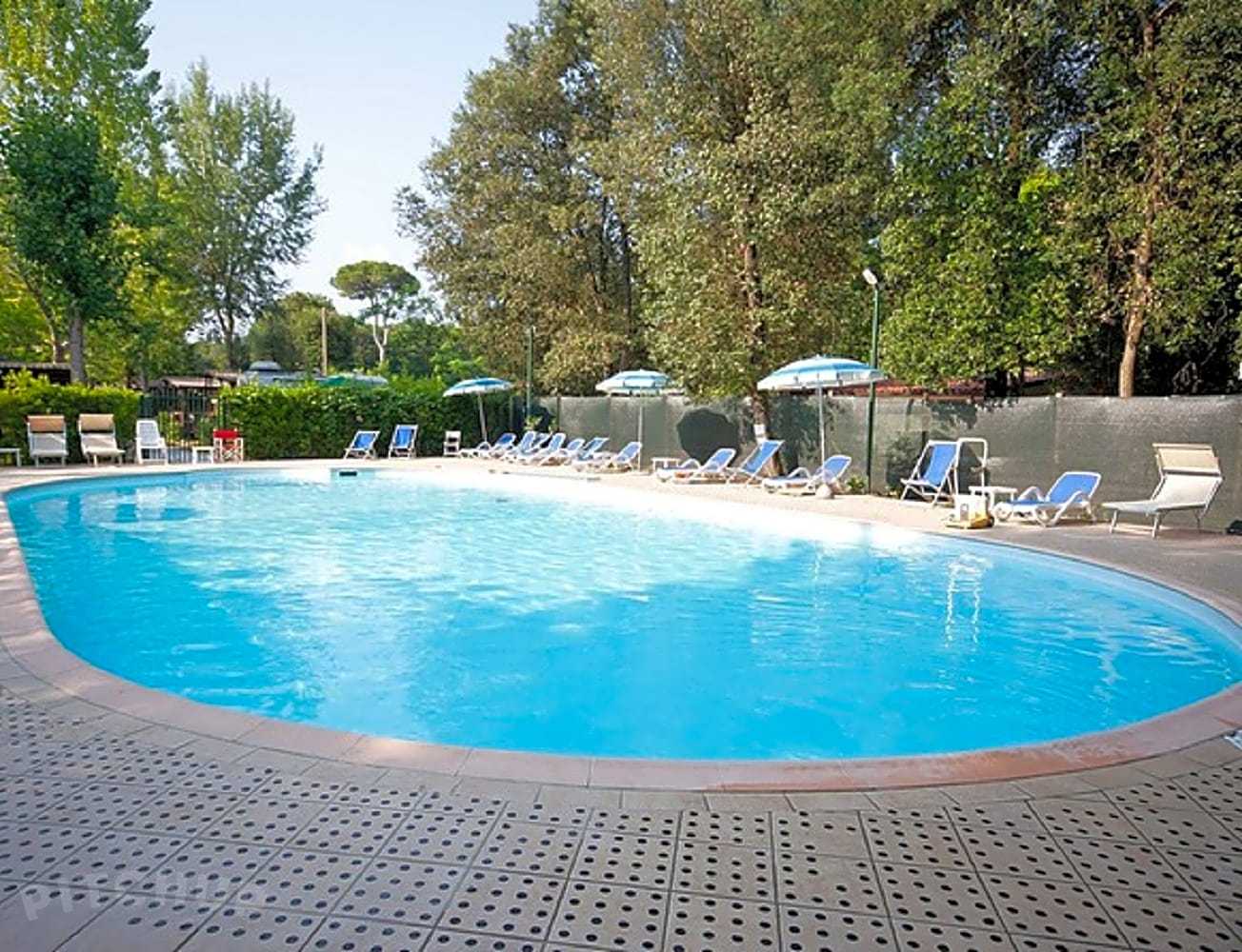 Une piscine entourée d'arbres et de transats.